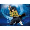 Giyu Tomioka - Demon Slayer - Vibration Stars