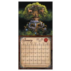 Calendrier 2025 - Anne Stokes