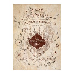 Set de 2 Chibi poster - Liste scolaire & Maraudeurs - Harry Potter