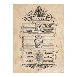 Set de 2 Chibi poster - Liste scolaire & Maraudeurs - Harry Potter
