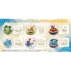 Diorama - Terrarium 14 - Pokemon - Vendu par 6