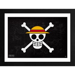 Cadre - Skull - One Piece