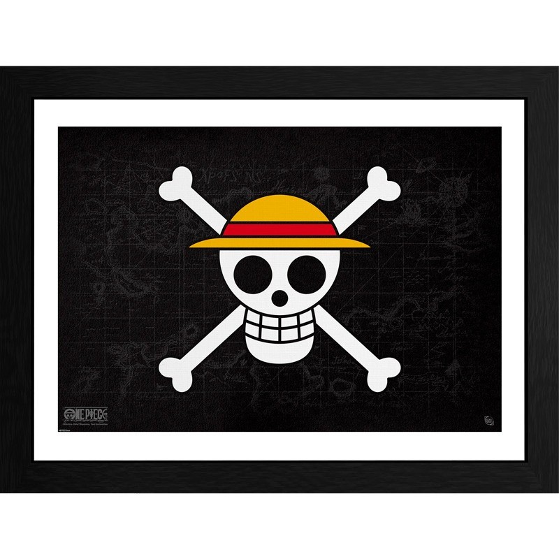 Cadre - Skull - One Piece