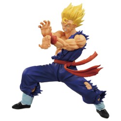 Son Gohan (Lot A) - History...