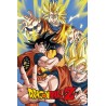 Poster - Dragon Ball Z - Goku - roulé filmé