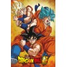 Poster - Son Goku - Dragon Ball Super - Roulé et filmé