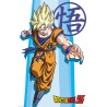 Poster - Goku Super Saiyan - Dragon Ball Z - Roulé et filmé