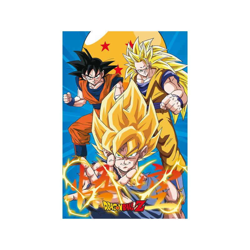 Poster - Goku transformations - Dragon Ball Z - Roulé et filmé