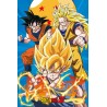 Poster - Goku transformations - Dragon Ball Z - Roulé et filmé