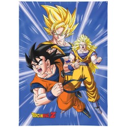Rideau - Son Goku...
