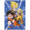 Rideau - Son Goku Transformations - Dragon Ball Z