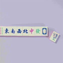 Set de Construction - Malette de Mahjong