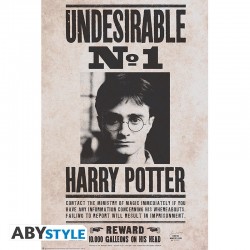 Poster - Harry Potter -...