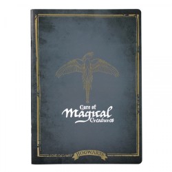 Carnet de Notes - Care of...