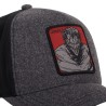 Casquette Baseball Premium - Certified Isane (Gris) - Batman : The Joker Asylum - U Unisexe 