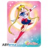 Plaque Métallique - Attaque lunaire - Sailor Moon (28x38)