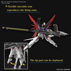 High Grade - Destiny Spec II & Zeus Sillouette - Gundam : Seed Destiny
