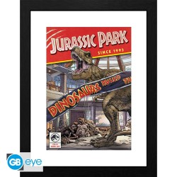 Cadre - T-Rex - Jurassic Park