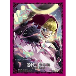 Protèges Cartes -...
