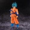Goku (SSJ God SS) - Dragon Ball Super - Blood of Saiyans