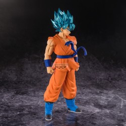 Goku (SSJ God SS) - Dragon Ball Super - Blood of Saiyans
