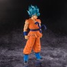 Goku (SSJ God SS) - Dragon Ball Super - Blood of Saiyans
