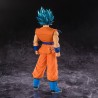 Goku (SSJ God SS) - Dragon Ball Super - Blood of Saiyans