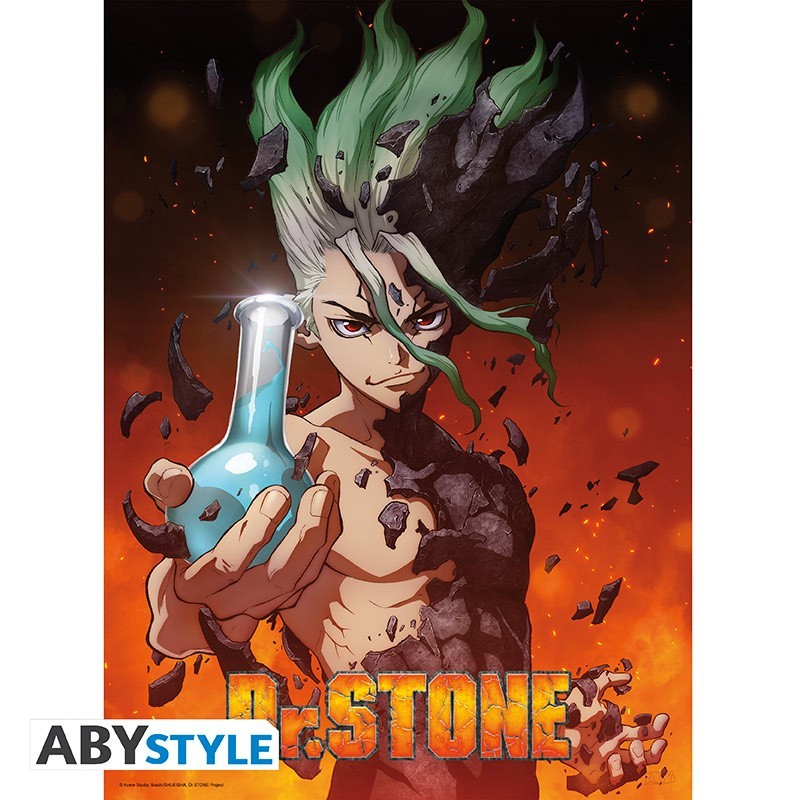 Poster - Dr. Stone - "Senku"