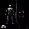 Marvel Legends Series - Peter Parker (Black Suit) - Spider-Man 2 - Gamerverse