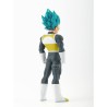 Vegeta (SSJ God SS) - Dragon Ball Super - Blood of Saiyans
