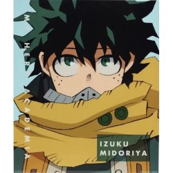 Acrylique - Izuku Midoriya...