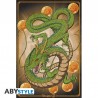 Poster - Shenron - Dragon Ball - Roulé et filmé
