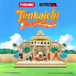 Set de Construction - Tenkaichi Budōkai - Dragon Ball
