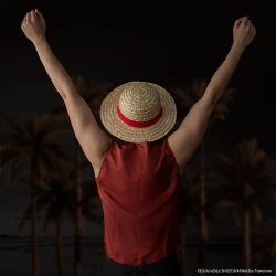 Chapeau de Paille - One Piece : Netflix - U Unisexe 