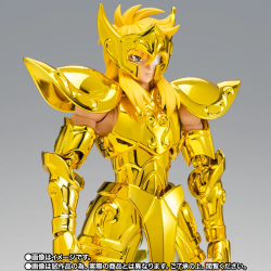 Hyoga du Verseau - Saint Seiya - Myth Cloth EX - Inheritor of the Gold Cloth - Premium Bandai