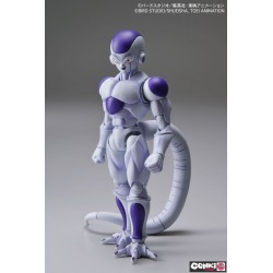 Figure Rise - Final Form...