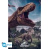 Poster - Dinosaures - Jurassic World 3 - Roulé & filmé