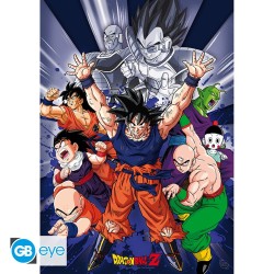 Portfolio posters - Groupe - Dragon Ball Z