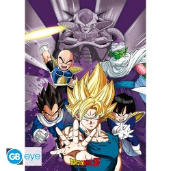 Portfolio posters - Groupe - Dragon Ball Z