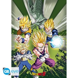 Portfolio posters - Groupe - Dragon Ball Z