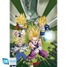 Portfolio posters - Groupe - Dragon Ball Z