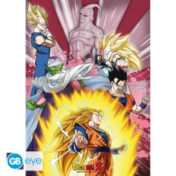 Portfolio posters - Groupe - Dragon Ball Z