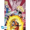 Portfolio posters - Groupe - Dragon Ball Z