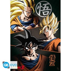 Portfolio posters - Groupe - Dragon Ball Z