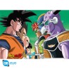Portfolio posters - Groupe - Dragon Ball Z