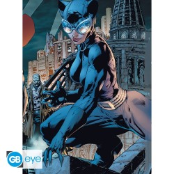 Portfolio posters - Ligue des Justiciers - DC Comics