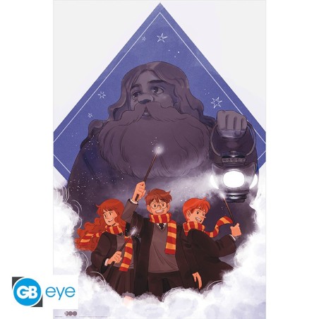 Poster - Hagrid - Harry Potter - Roulé & filmé