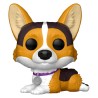 Corgi - Pets (16) - POP Pets
