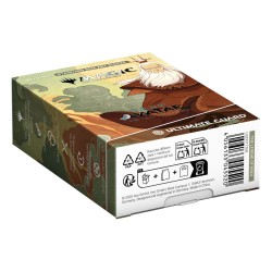 Protèges Cartes 100 pièces - Art Sleeves - The Legend of Roku - Avatar, le Dernier Maître de l'Air