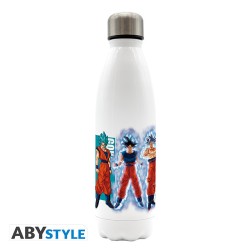 Bouteille Aluminium -...